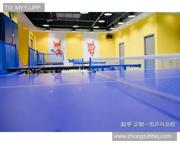 从零基础到高手之路乒乓球节奏与技巧全方位解析 从零基础到高手之路乒乓球节奏与技巧全方位解析