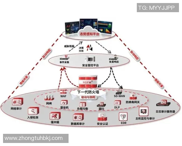 北京网球队防守体系解析与战术应用探讨