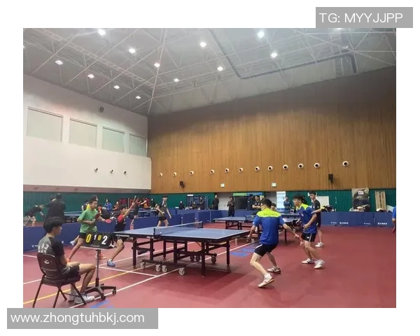 杭州乒乓球队攻防战术创新探索助力竞技水平全面提升 杭州乒乓球队攻防战术创新探索助力竞技水平全面提升