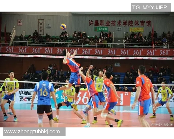 排球精神之旅:深入解析上海排球队的心理素质与竞技表现 排球精神之旅:深入解析上海排球队的心理素质与竞技表现