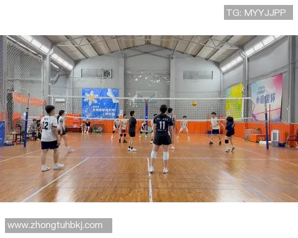 深圳排球队的控制得失分析与未来发展展望