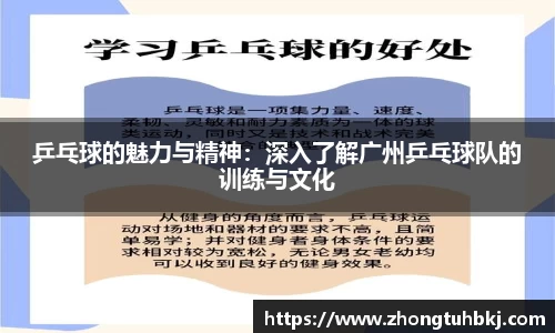 乒乓球的魅力与精神：深入了解广州乒乓球队的训练与文化