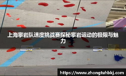 上海攀岩队速度挑战赛探秘攀岩运动的极限与魅力