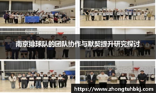 南京排球队的团队协作与默契提升研究探讨