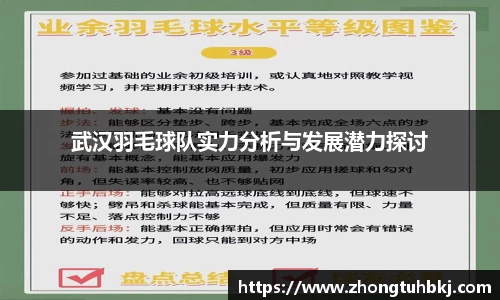 武汉羽毛球队实力分析与发展潜力探讨